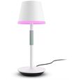 hue White & Color Ambiance Go