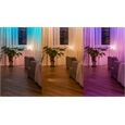 hue Wandschalter Modul Doppelpack