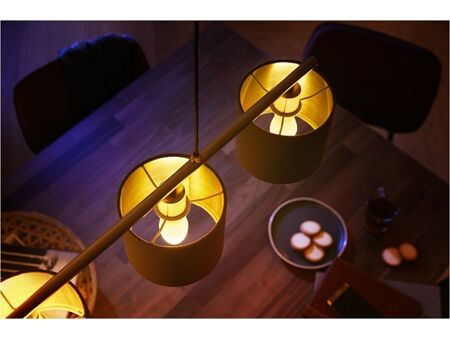 hue White 5.5W B39 E14 2er Set