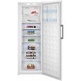 Beko RFNE448E55W