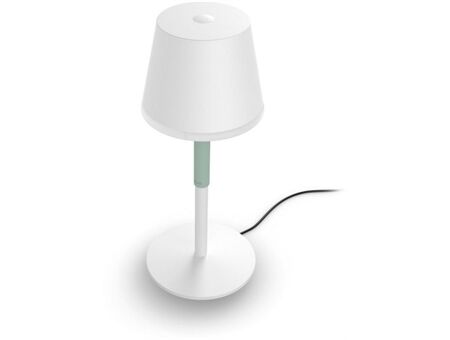 hue White & Color Ambiance Go