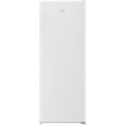Beko RFNM200T40WN