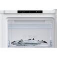Beko RFNM200T40WN