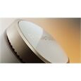 Bowers & Wilkins Pi8