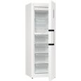 Gorenje FN619DAW6