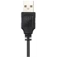 Hama HS-USB300