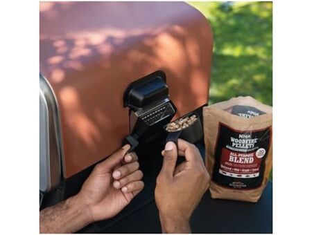 NINJA OO101EU Woodfire Outdoor Ofen