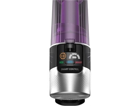 Rowenta RH2037 X-Force 9.60 Allergie