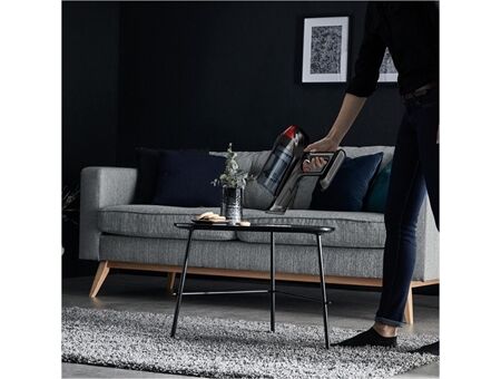 Rowenta RH98A7 X-Force Flex 12.60 Animal