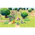 Nintendo SW2 Pokémon Pokopia
