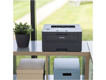 Brother HL-L2445DW