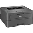 Brother HL-L2445DW