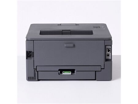 Brother HL-L2445DW
