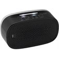 Grundig Sonoclock 3100