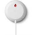 Google Nest Mini