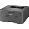 Brother HL-L2447DW
